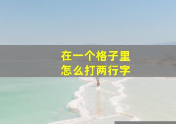 在一个格子里怎么打两行字