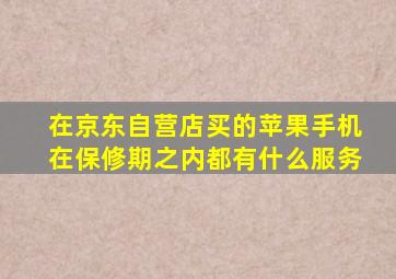 在京东自营店买的苹果手机在保修期之内都有什么服务