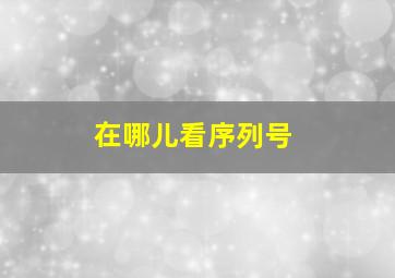 在哪儿看序列号