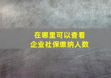 在哪里可以查看企业社保缴纳人数