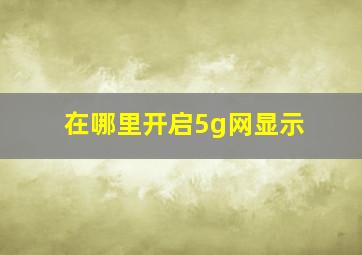 在哪里开启5g网显示