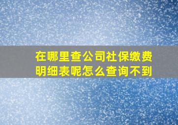 在哪里查公司社保缴费明细表呢怎么查询不到