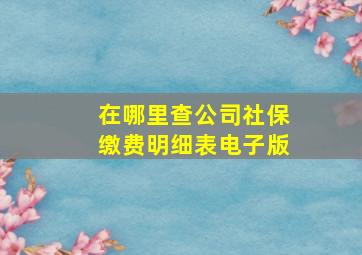 在哪里查公司社保缴费明细表电子版