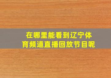 在哪里能看到辽宁体育频道直播回放节目呢