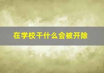 在学校干什么会被开除