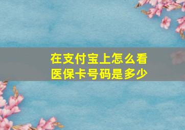 在支付宝上怎么看医保卡号码是多少