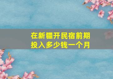 在新疆开民宿前期投入多少钱一个月