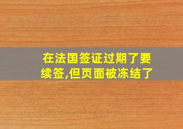 在法国签证过期了要续签,但页面被冻结了