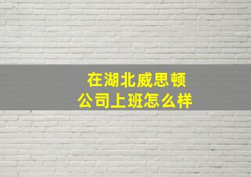 在湖北威思顿公司上班怎么样