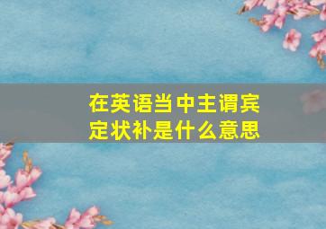 在英语当中主谓宾定状补是什么意思