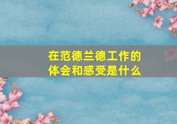 在范德兰德工作的体会和感受是什么