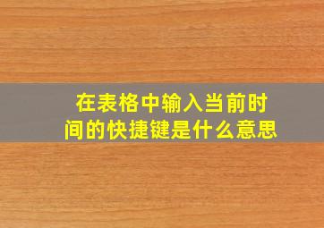 在表格中输入当前时间的快捷键是什么意思