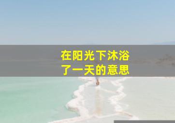 在阳光下沐浴了一天的意思