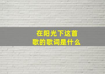 在阳光下这首歌的歌词是什么