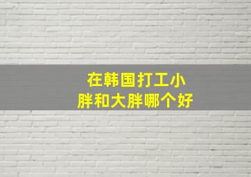 在韩国打工小胖和大胖哪个好