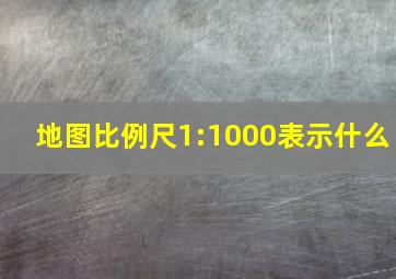 地图比例尺1:1000表示什么