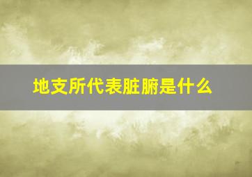 地支所代表脏腑是什么