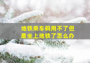 地铁乘车码用不了但是坐上地铁了怎么办