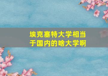 埃克塞特大学相当于国内的啥大学啊