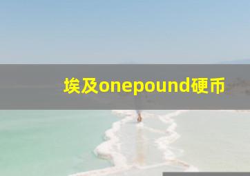 埃及onepound硬币