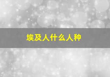 埃及人什么人种