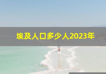 埃及人口多少人2023年