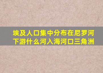 埃及人口集中分布在尼罗河下游什么河入海河口三角洲