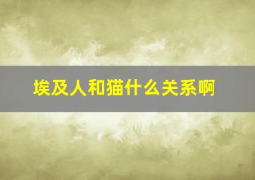 埃及人和猫什么关系啊