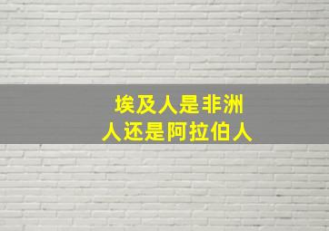 埃及人是非洲人还是阿拉伯人