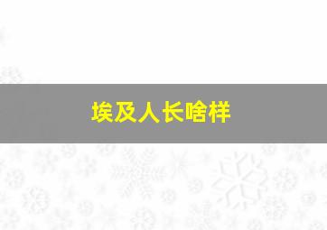 埃及人长啥样