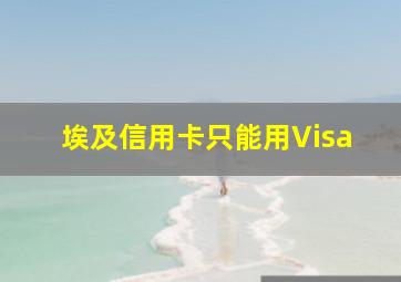 埃及信用卡只能用Visa