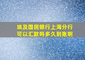 埃及国民银行上海分行可以汇款吗多久到账啊