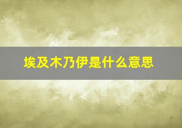 埃及木乃伊是什么意思