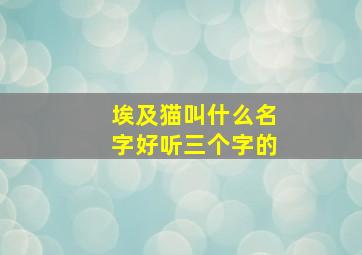 埃及猫叫什么名字好听三个字的