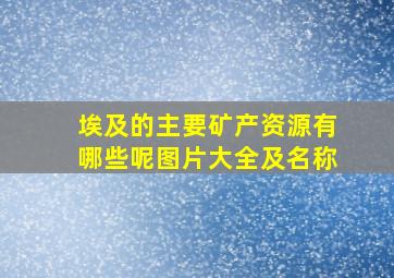 埃及的主要矿产资源有哪些呢图片大全及名称