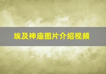 埃及神庙图片介绍视频