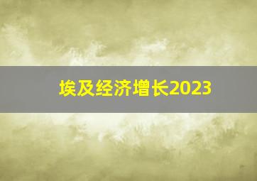 埃及经济增长2023