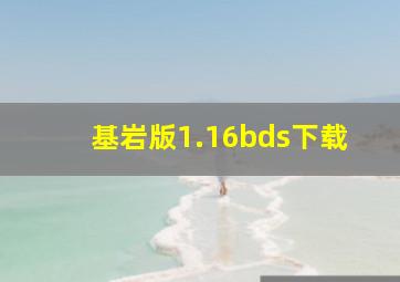 基岩版1.16bds下载