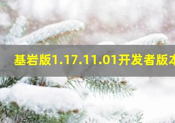 基岩版1.17.11.01开发者版本