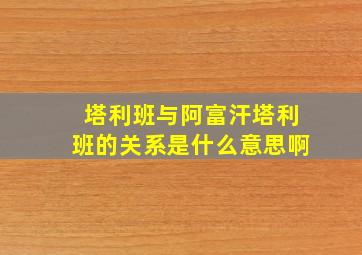 塔利班与阿富汗塔利班的关系是什么意思啊