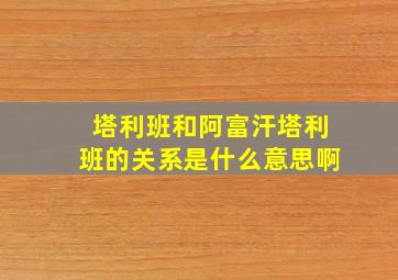 塔利班和阿富汗塔利班的关系是什么意思啊