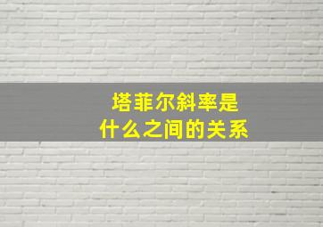 塔菲尔斜率是什么之间的关系