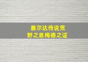 塞尔达传说荒野之息梅德之证