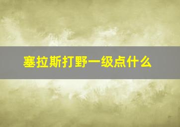 塞拉斯打野一级点什么