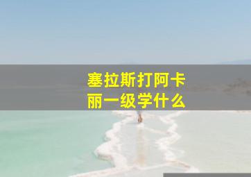 塞拉斯打阿卡丽一级学什么