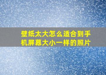 壁纸太大怎么适合到手机屏幕大小一样的照片