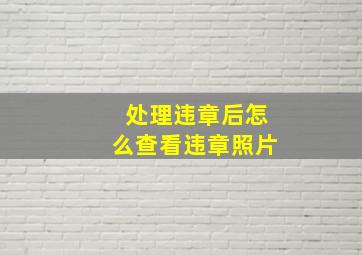 处理违章后怎么查看违章照片