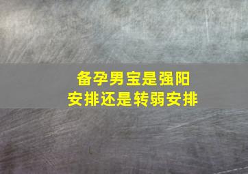 备孕男宝是强阳安排还是转弱安排