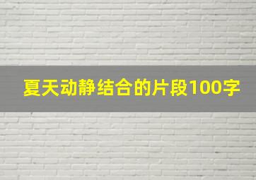 夏天动静结合的片段100字