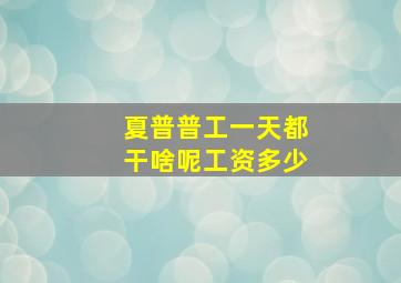 夏普普工一天都干啥呢工资多少